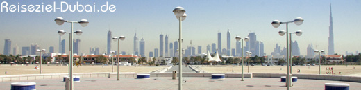 Skyline 2009